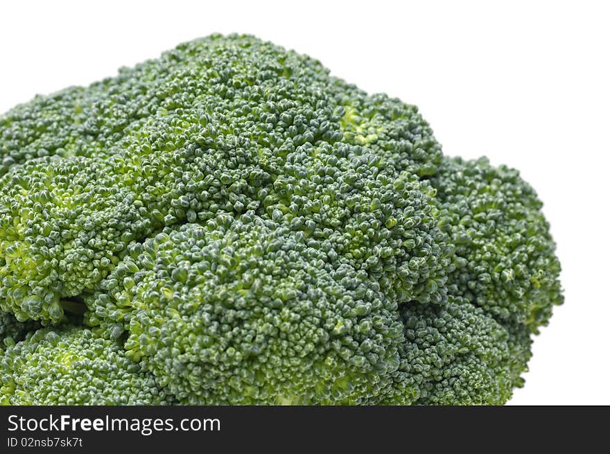 Fresh Broccoli