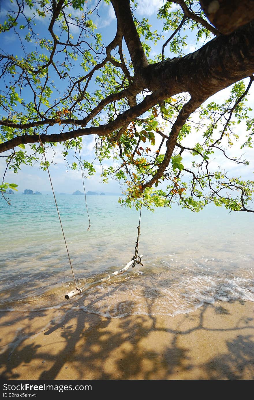 Translation wood trees on the beach under the trees.