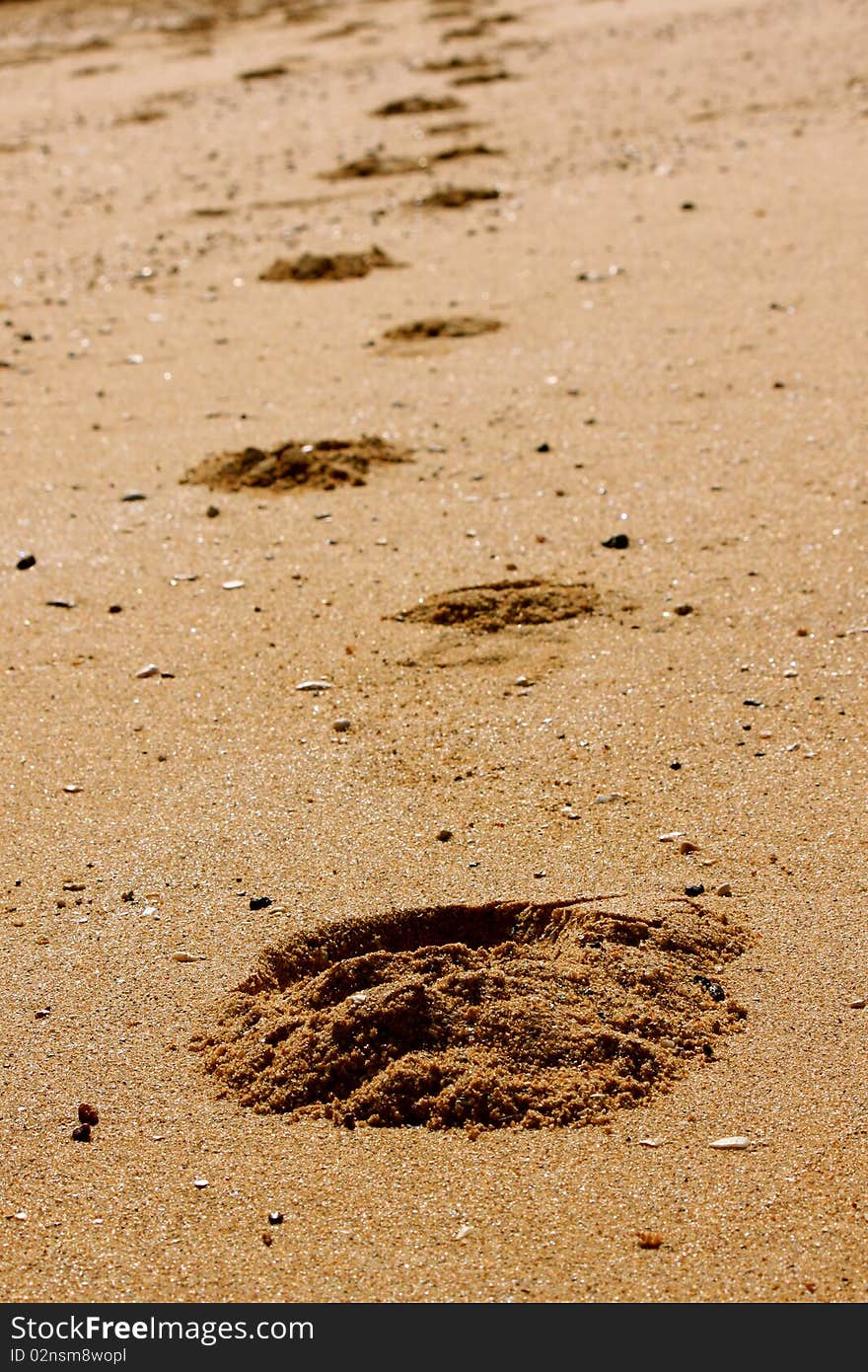 Footprints In The Sand