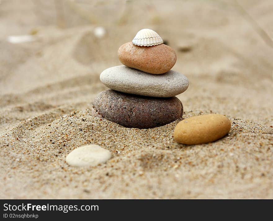 Stones and shell on the sand. Stones and shell on the sand