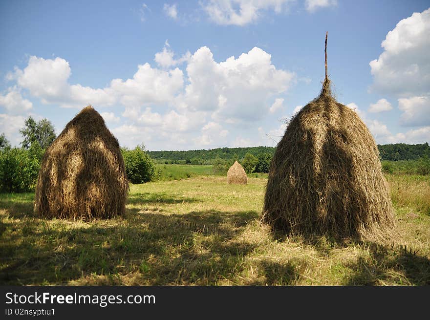 Hay in stacks.