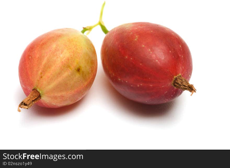 Berries of a gooseberry a close up on a white background. Berries of a gooseberry a close up on a white background.