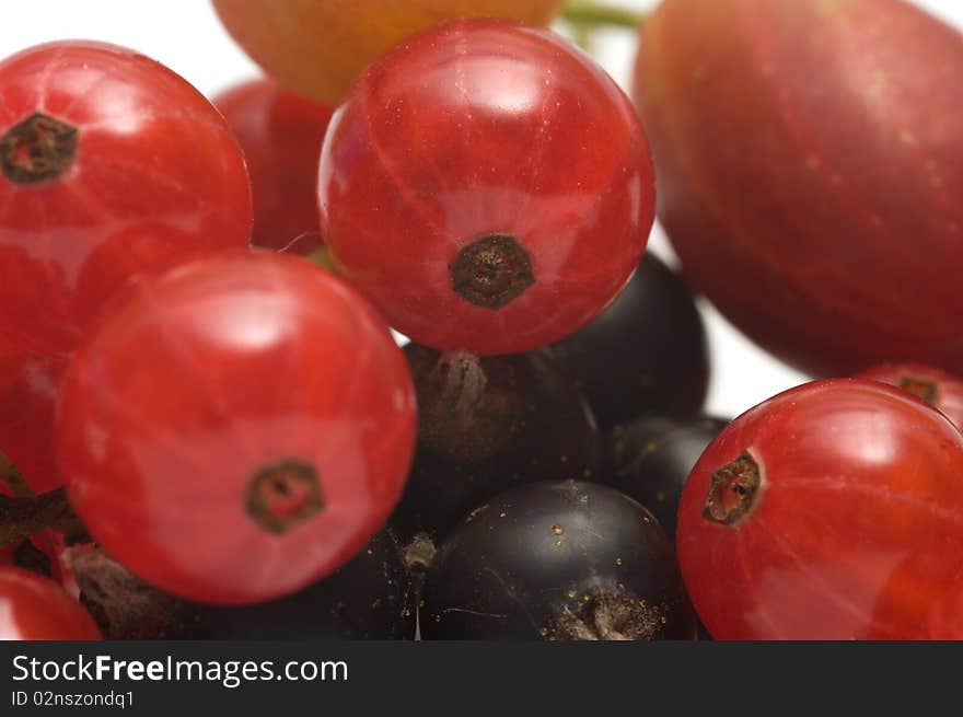 Closeup shot of gooseberry black and red currants. Closeup shot of gooseberry black and red currants.