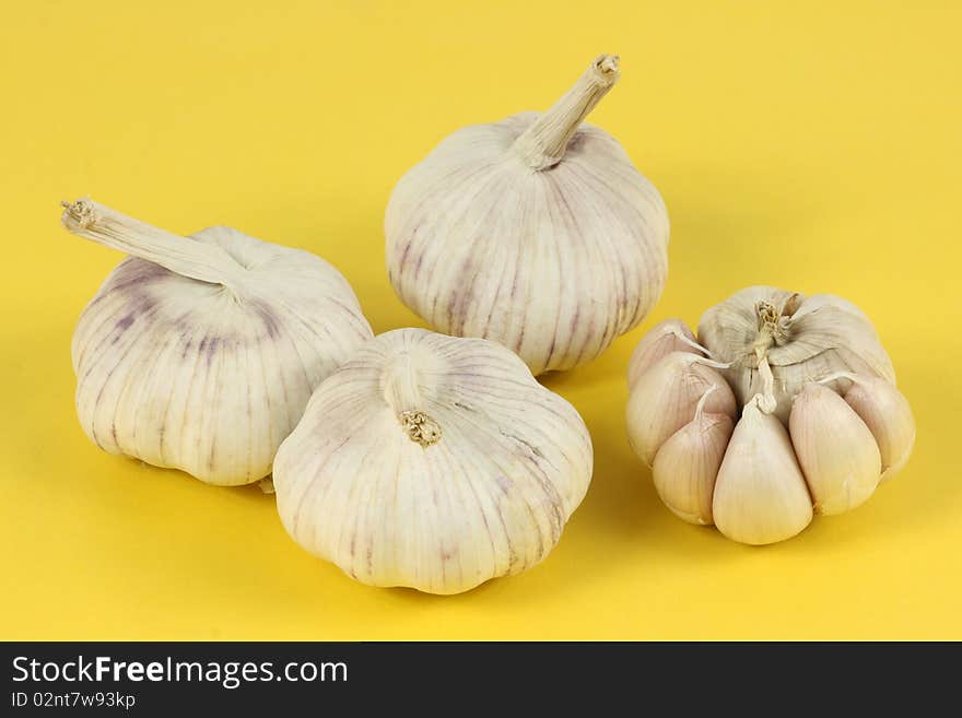 Garlic