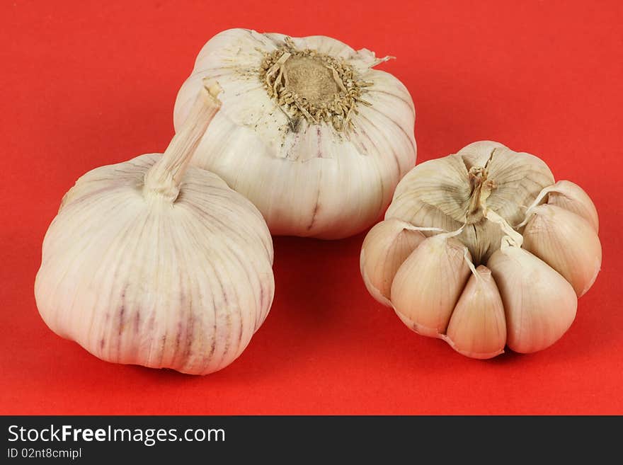 Garlic