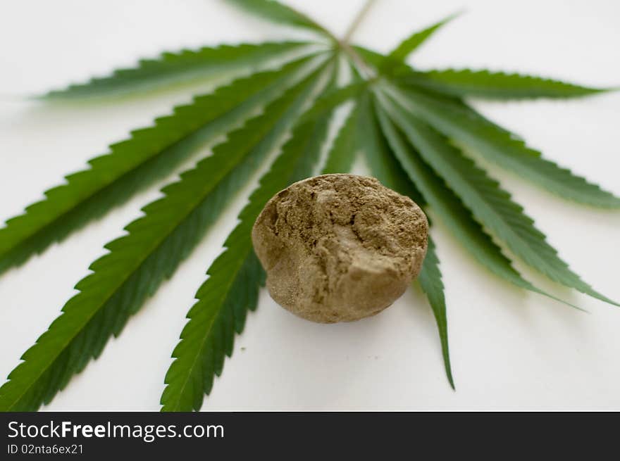 Cannabis plant for alternative medicine