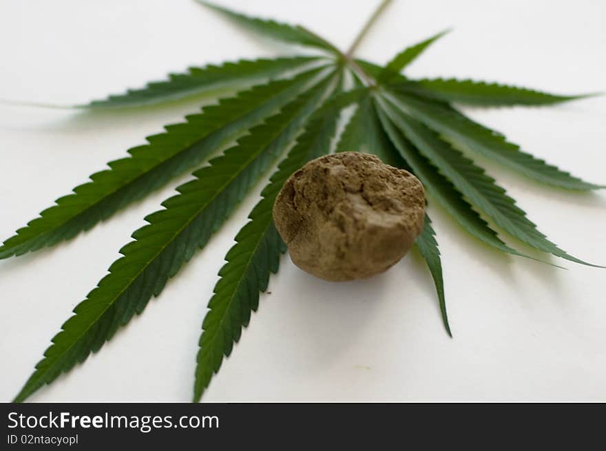 Cannabis plant for alternative medicine