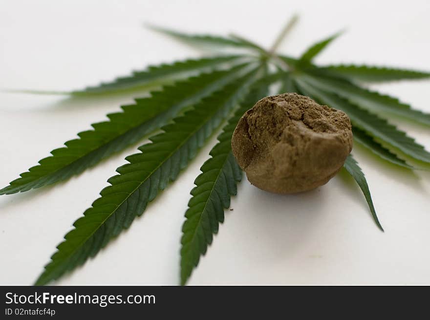 Cannabis plant for alternative medicine