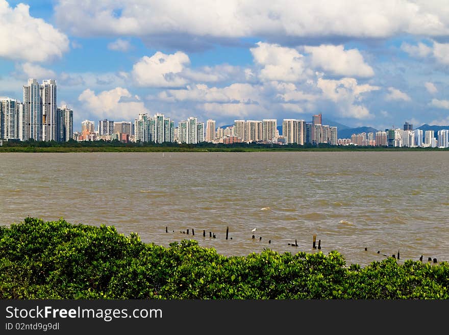 Mangrove nature reserve, located in China guangdong province shenzhen