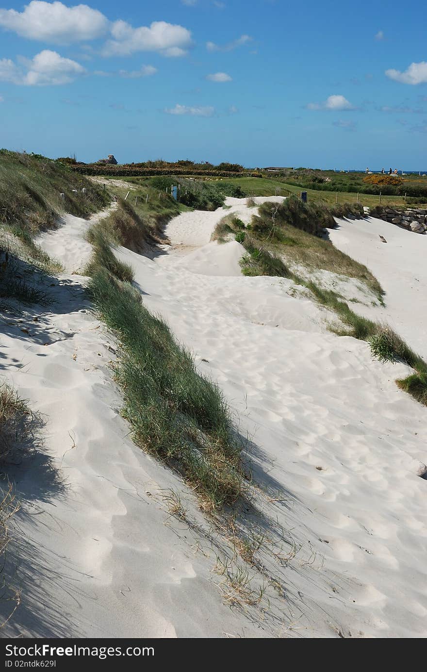 Dune with marram grass