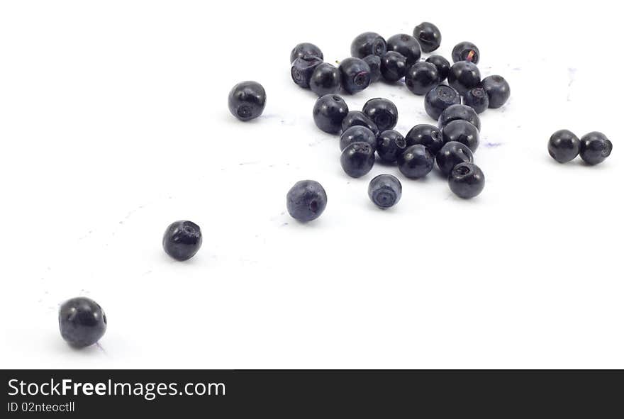 Blueberries on a white background