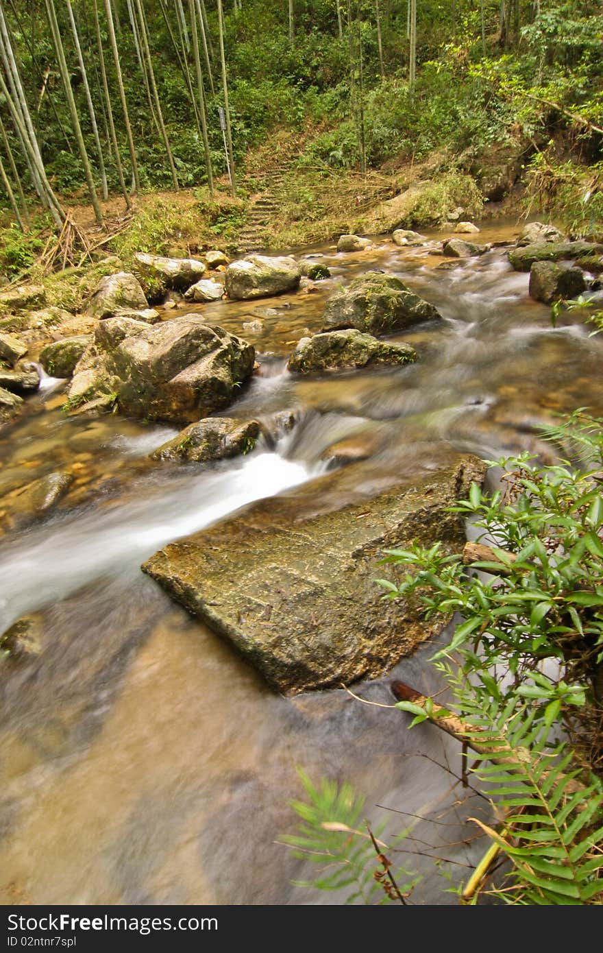 Stream Scour the rock in the Forest. Stream Scour the rock in the Forest