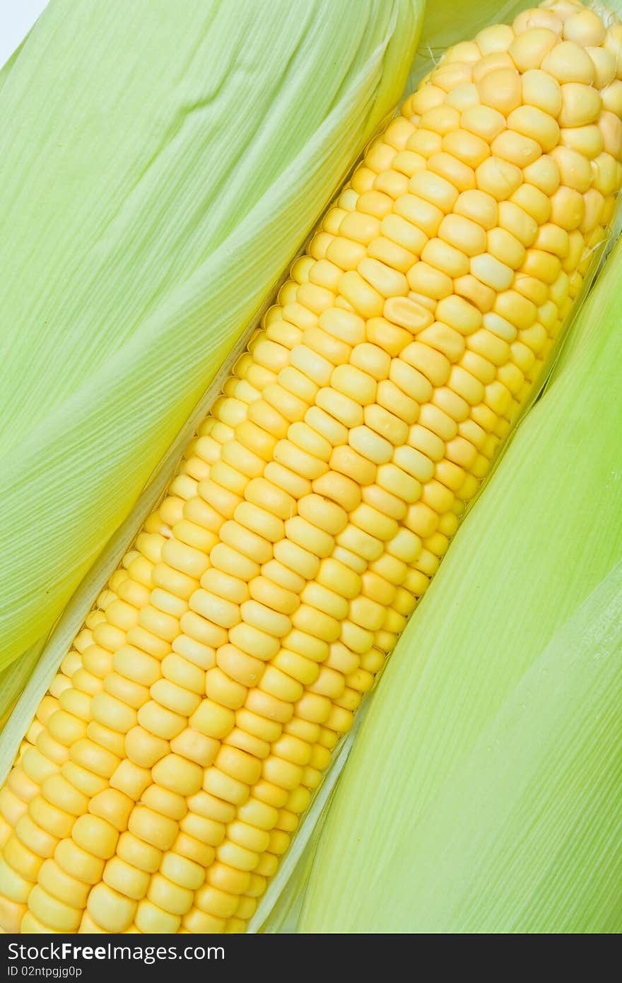 Corn