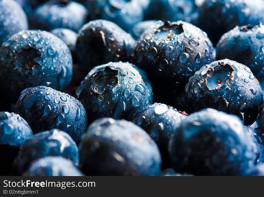 Close up on some blueberries.