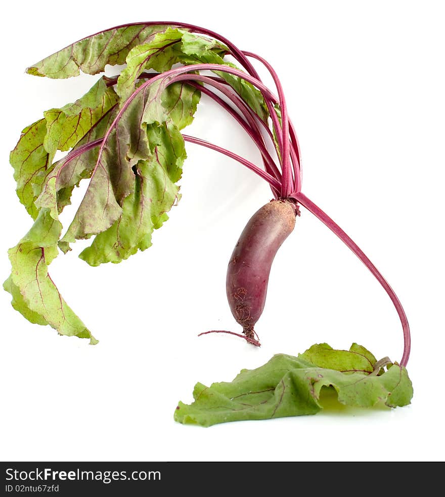 Beets with leaves on white background