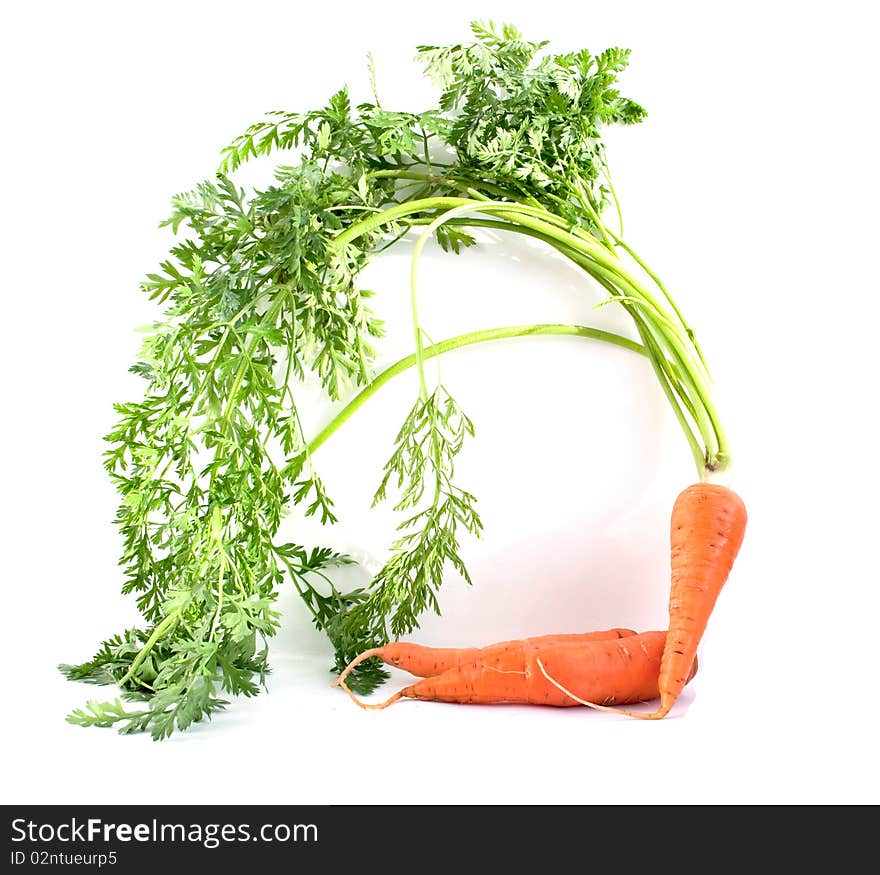 Carrots With The Leaves