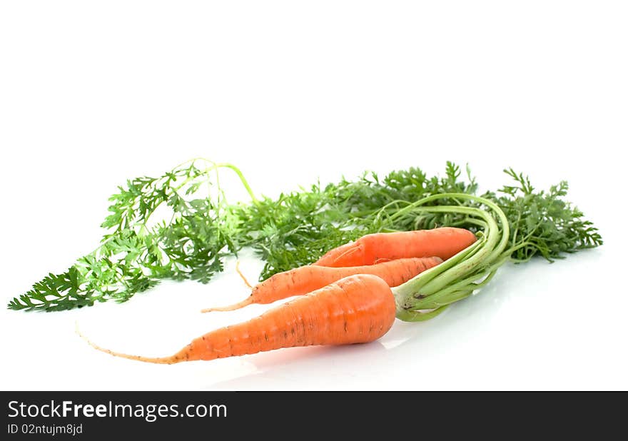 Carrots with the leaves