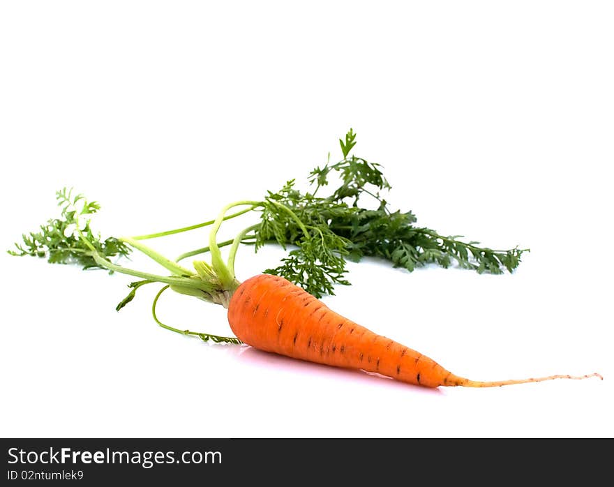 Carrots With The Leaves