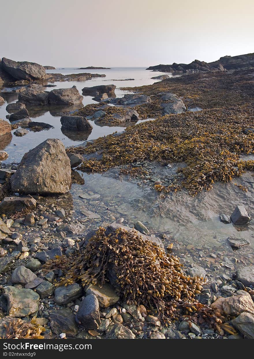 Anglesey coast rockpool Wales