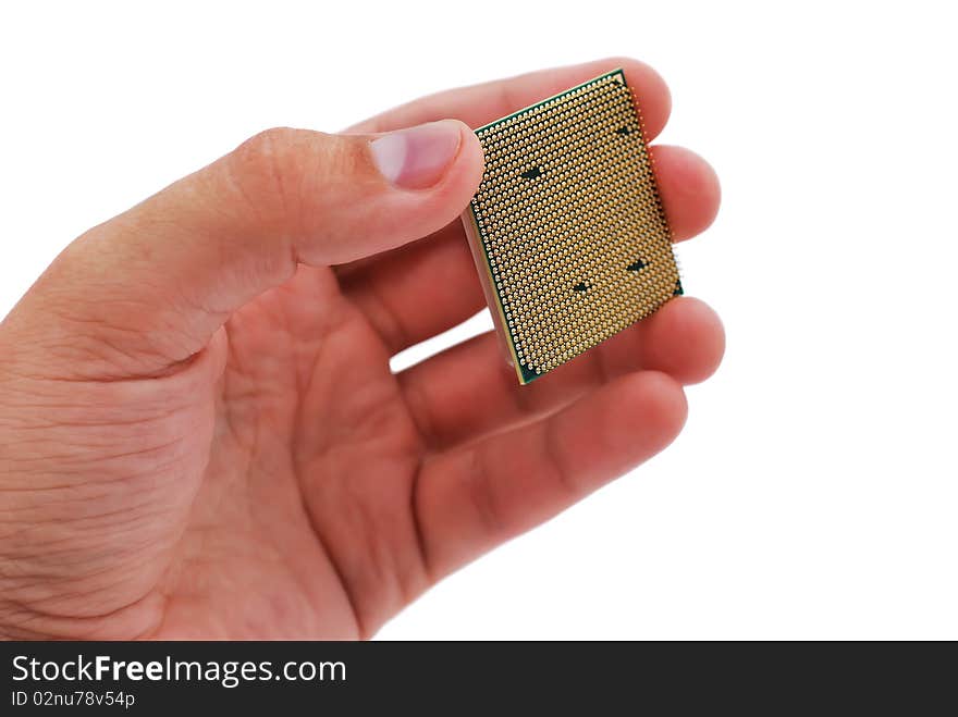 Processor in hand on a white background. Processor in hand on a white background