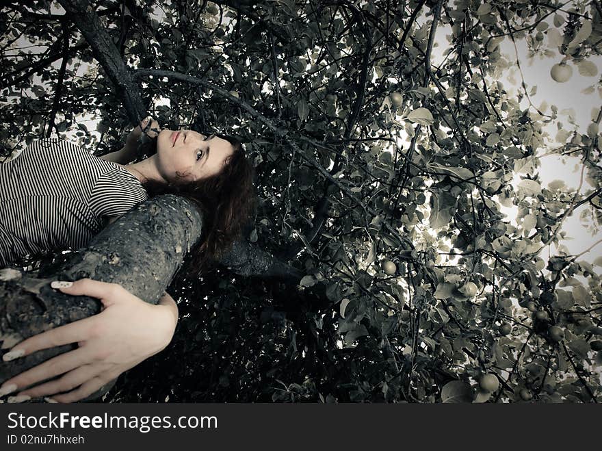 Young redhead woman laying at apple tree branch. Young redhead woman laying at apple tree branch