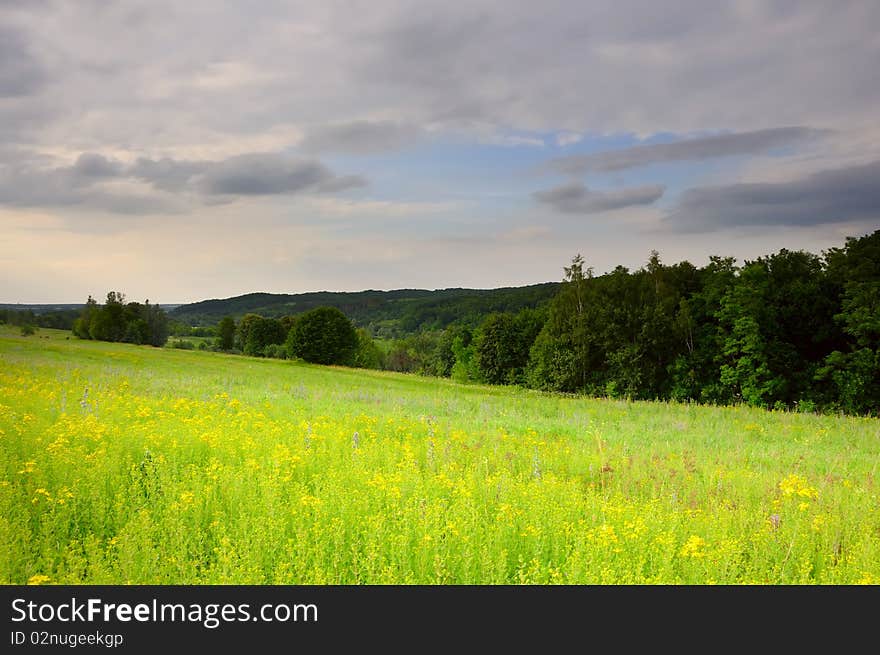 Field and woody hills in the hot afternoon