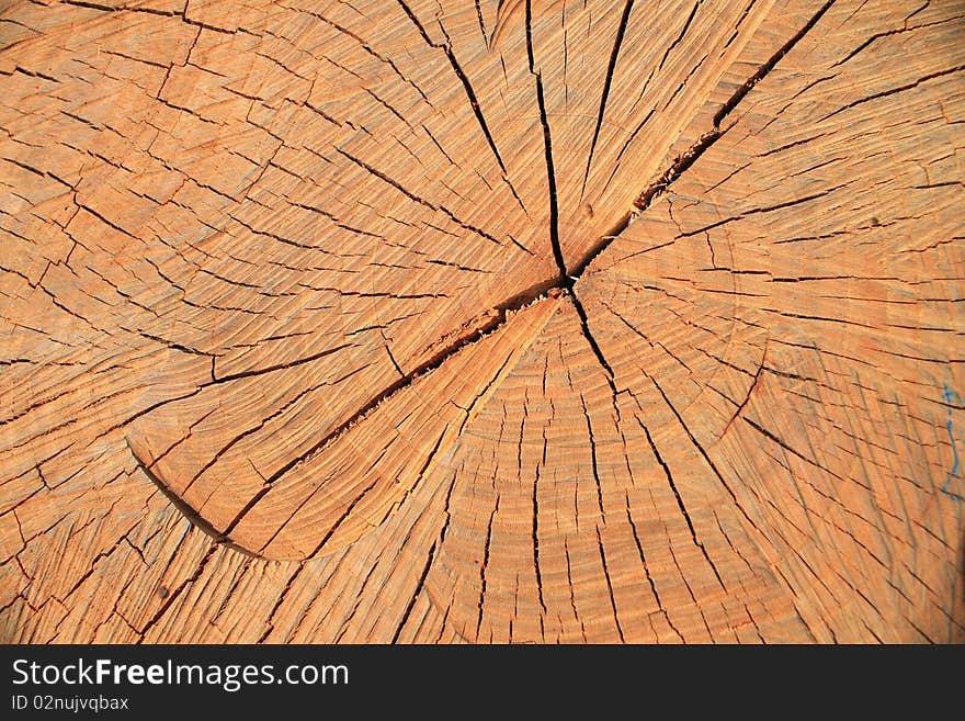 Wood texture in brown. It is possible to use as background.