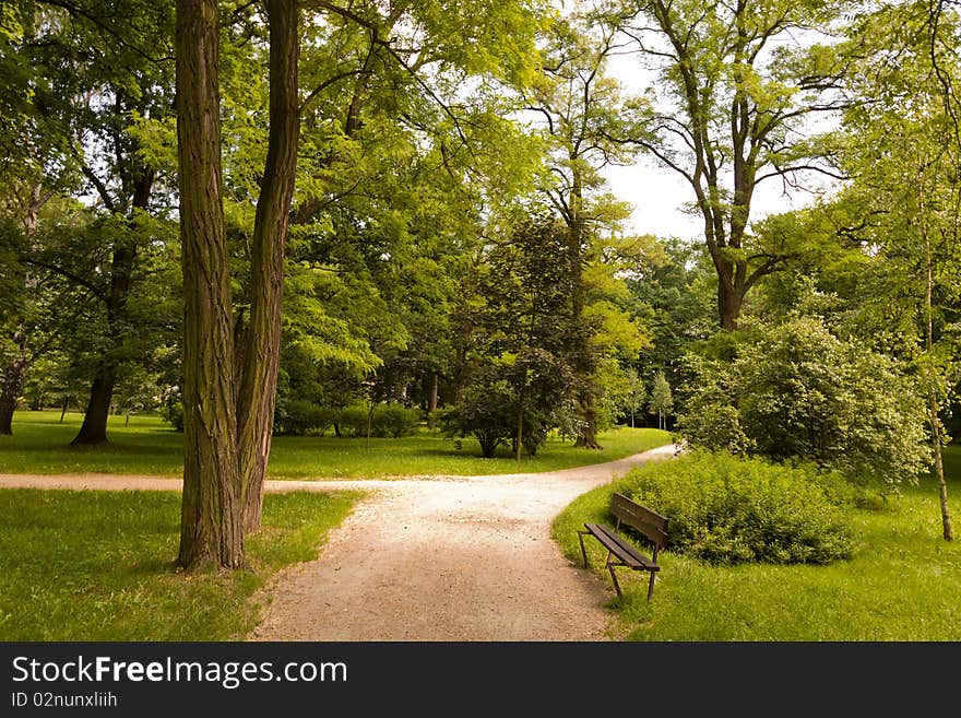 Park in spring time on a sunny day