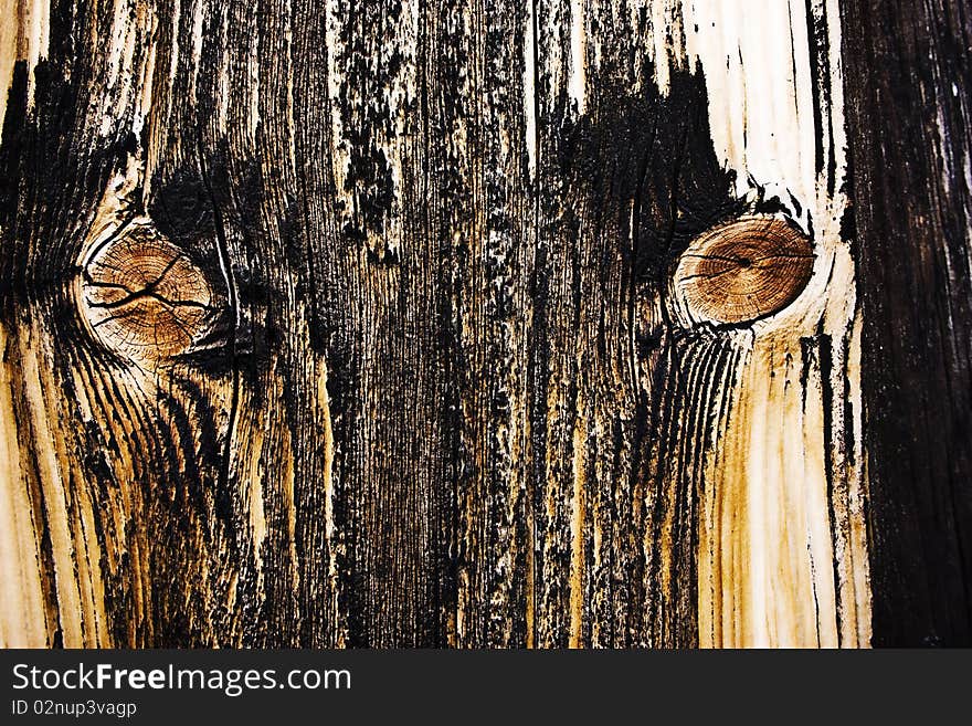 Closeup on a wood. Wood texture