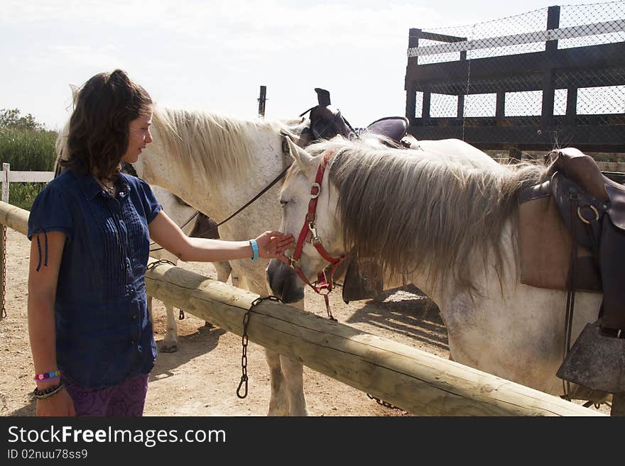 Girl petting a white horse. Girl petting a white horse