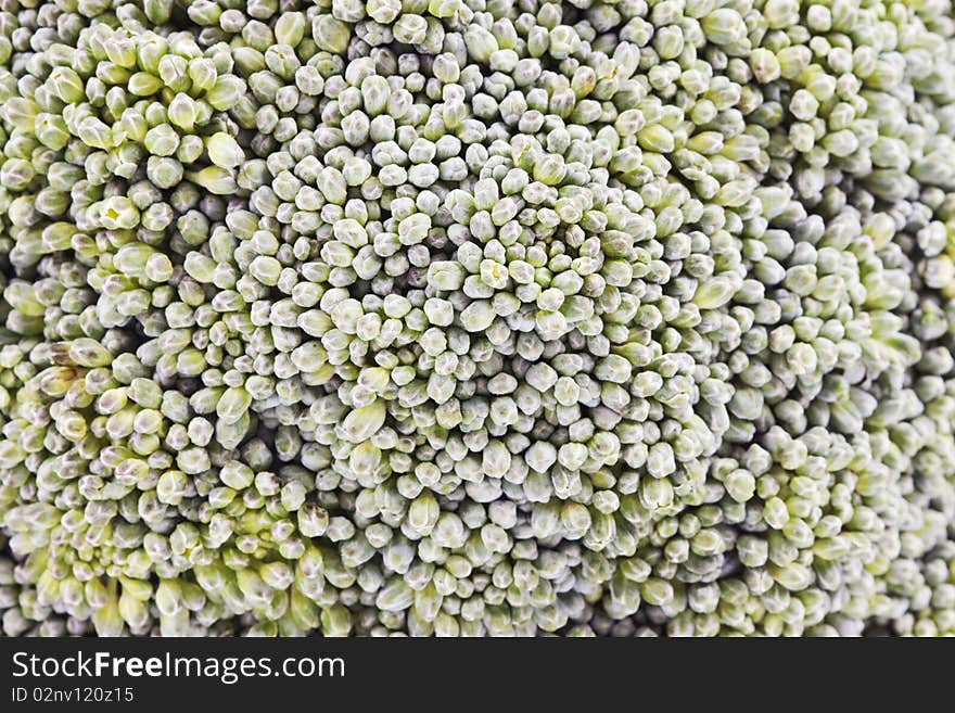 The broccoli  structure macro view