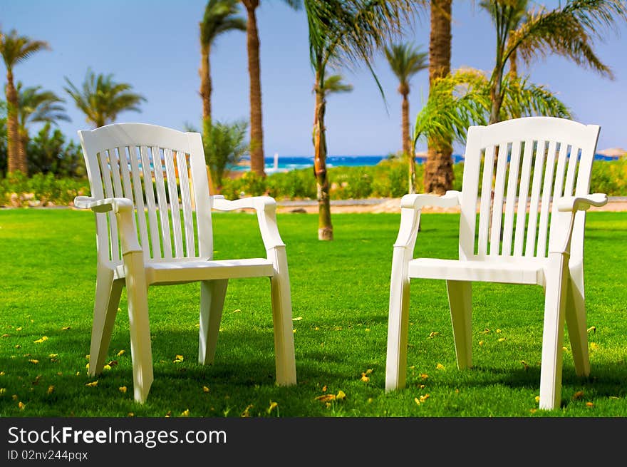 White beach chairs on the grass under palm near the beach. Tropical Resort in Egypt. White beach chairs on the grass under palm near the beach. Tropical Resort in Egypt.