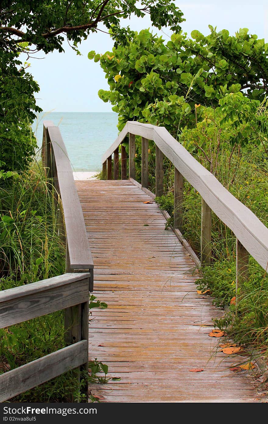 Wooden Bridge