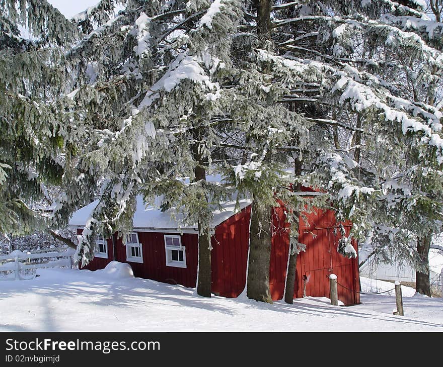 Snowcovered barn