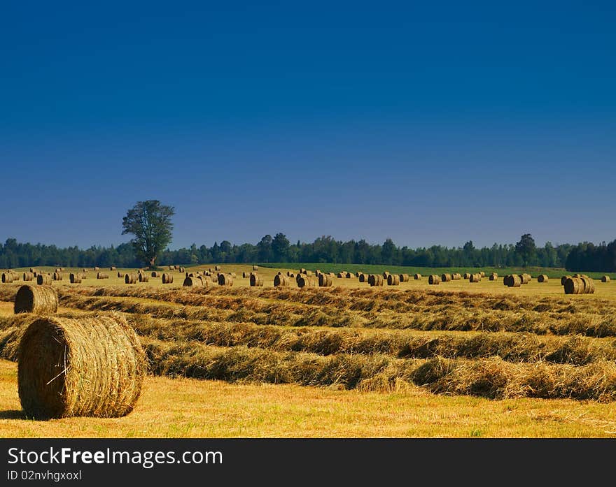 Round Hay Bales