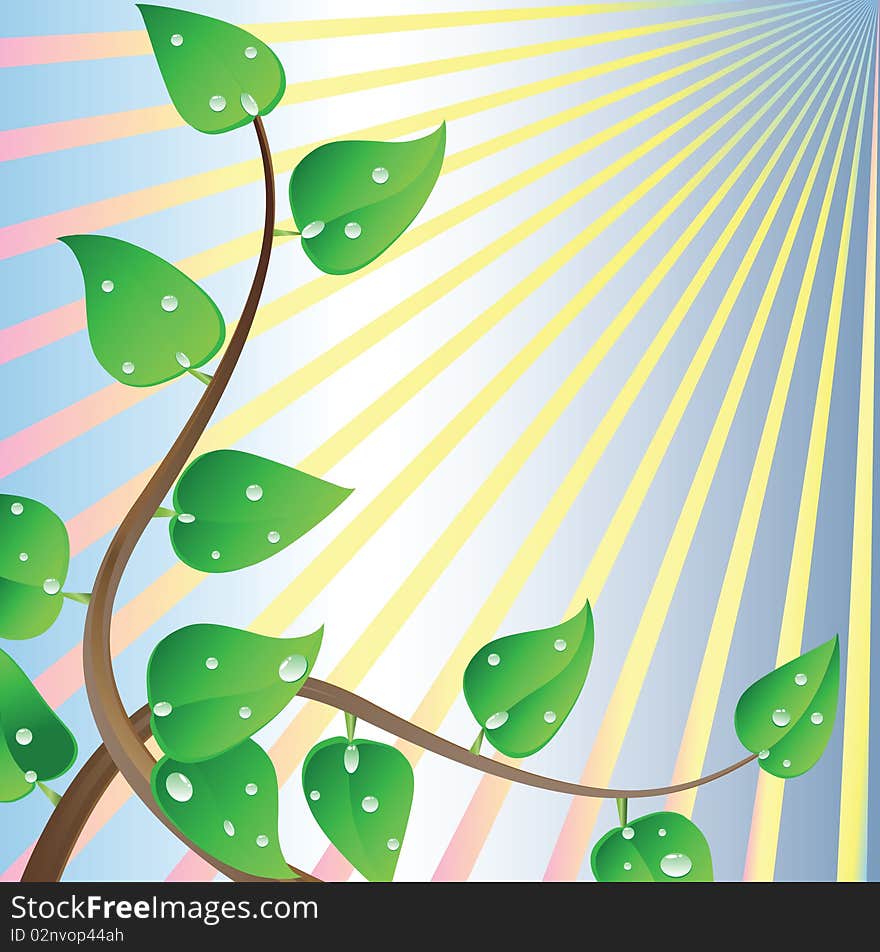 Wet leaves are shined by the sun. Vector illustration.