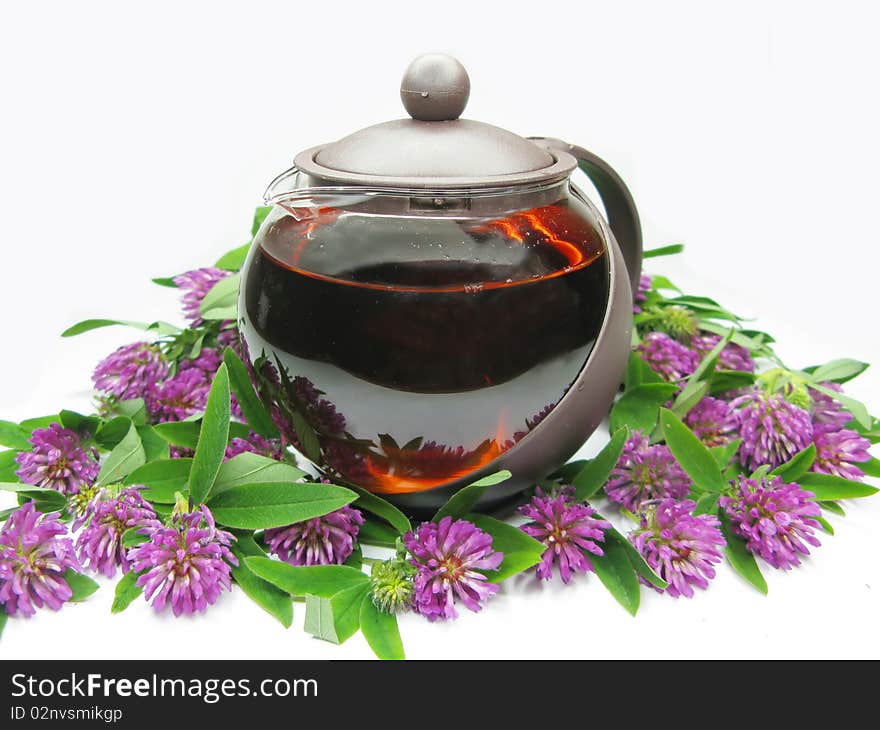 Teapot with floral clover tea. Teapot with floral clover tea