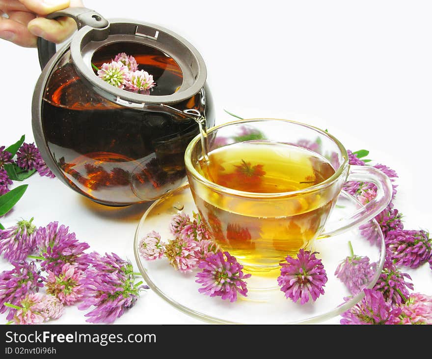 Pouring floral clover tea into cup. Pouring floral clover tea into cup