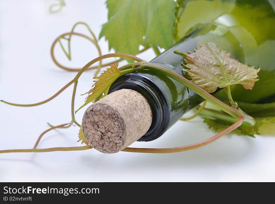 Picture of grape-vine and bottle for wine