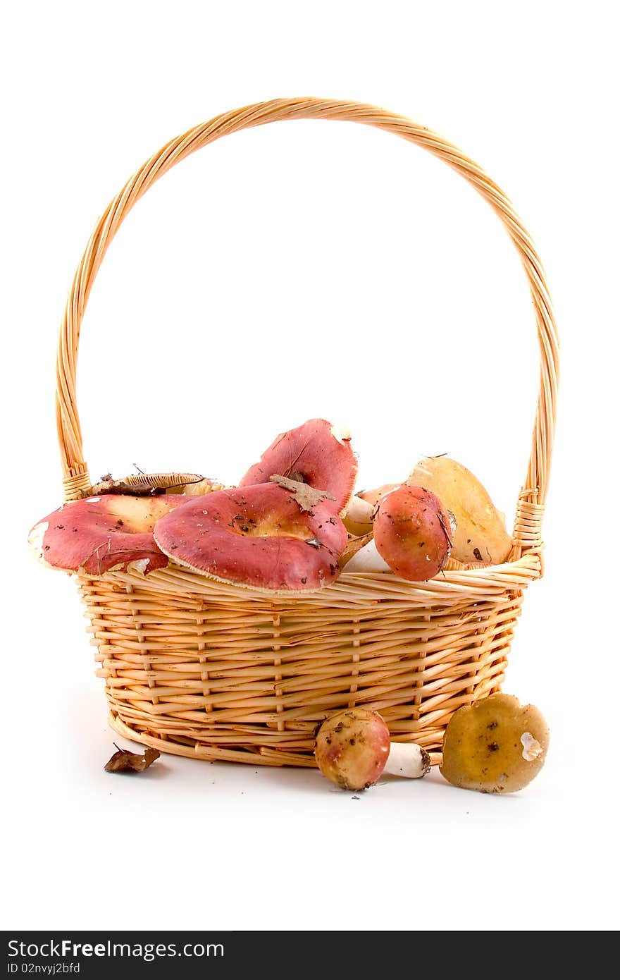 Mushrooms in a basket