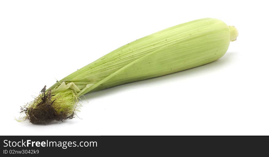 Ripe corn on a white background