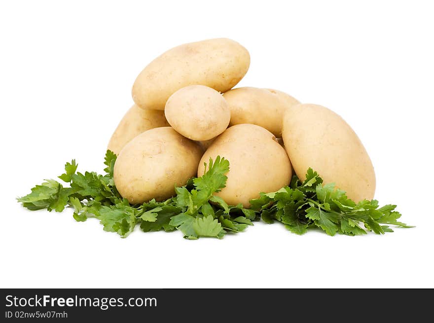 Fresh potato isolated over white