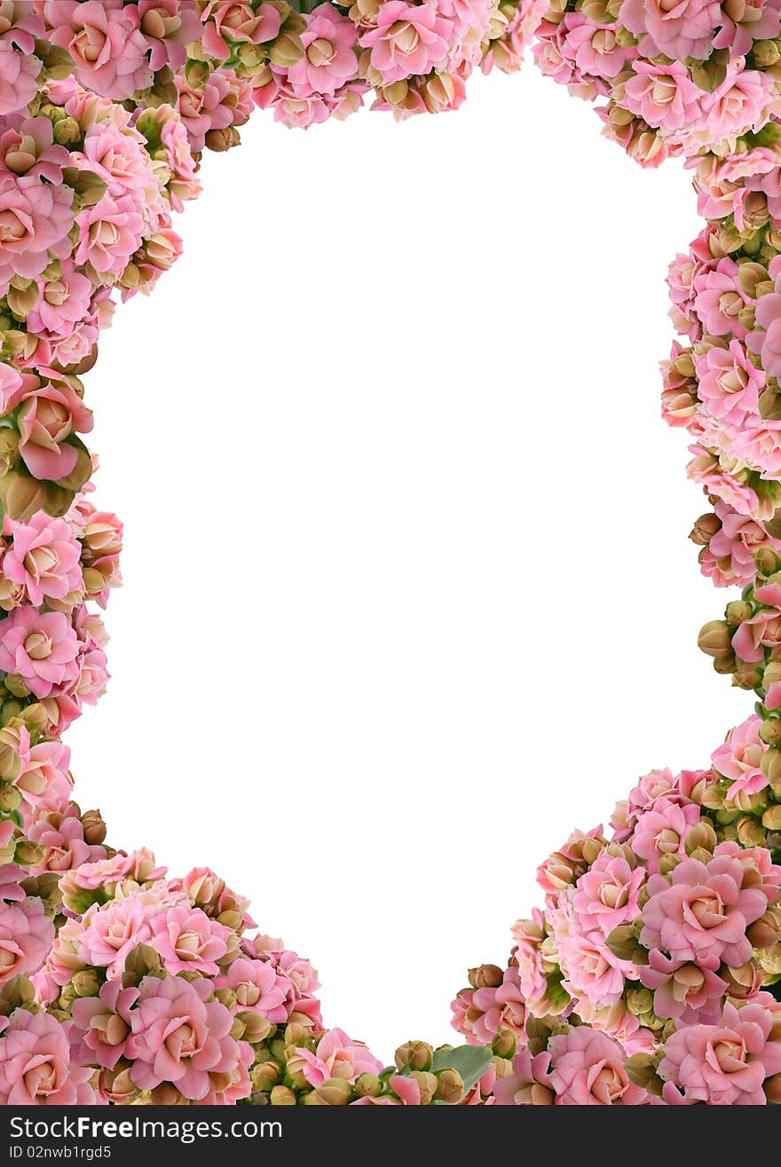 Floral garland isolated on the white background. Floral garland isolated on the white background