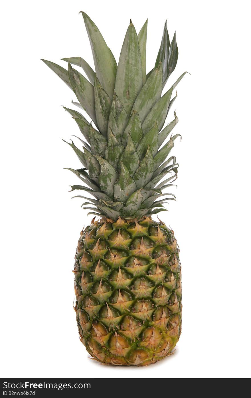 Whole tropical Pineapple studio cutout. Whole tropical Pineapple studio cutout