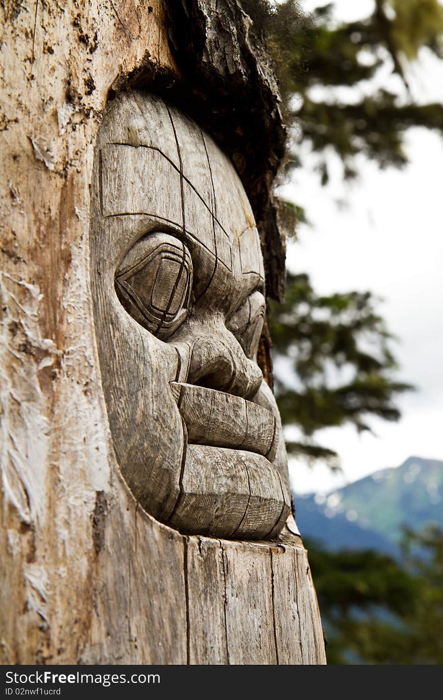 Face carved into a tree trunk. Face carved into a tree trunk