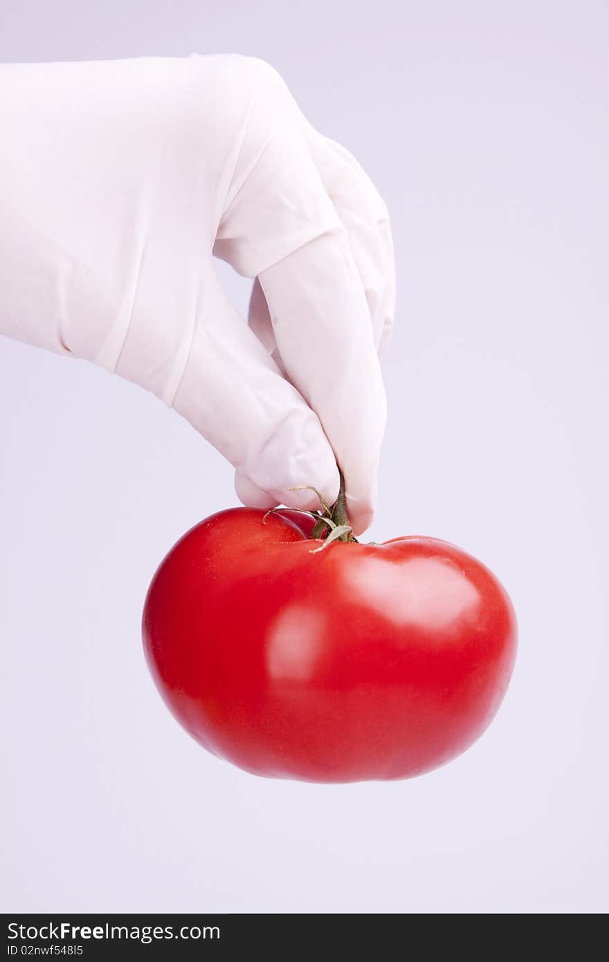 Scientist Holding Tomato