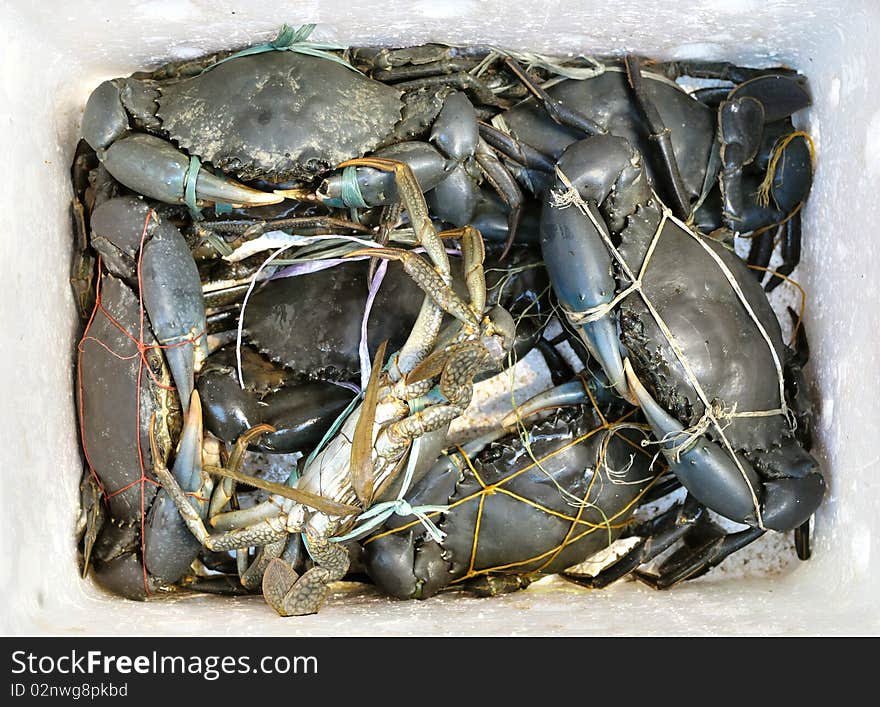 Box of crabs for sale at a Hong Kong seafood market. Box of crabs for sale at a Hong Kong seafood market