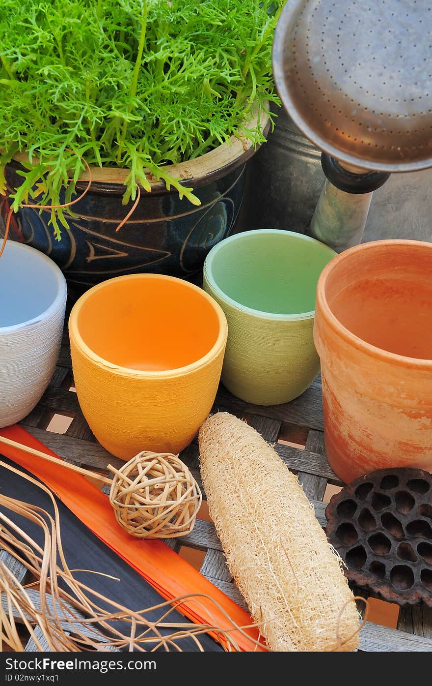 Plants, pottery and dry flowers on an old garden table. Plants, pottery and dry flowers on an old garden table