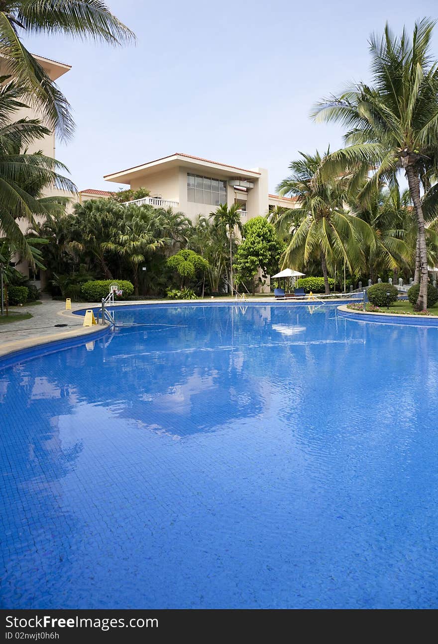 Tropical swimming pool with coconut palm trees by the poolside.