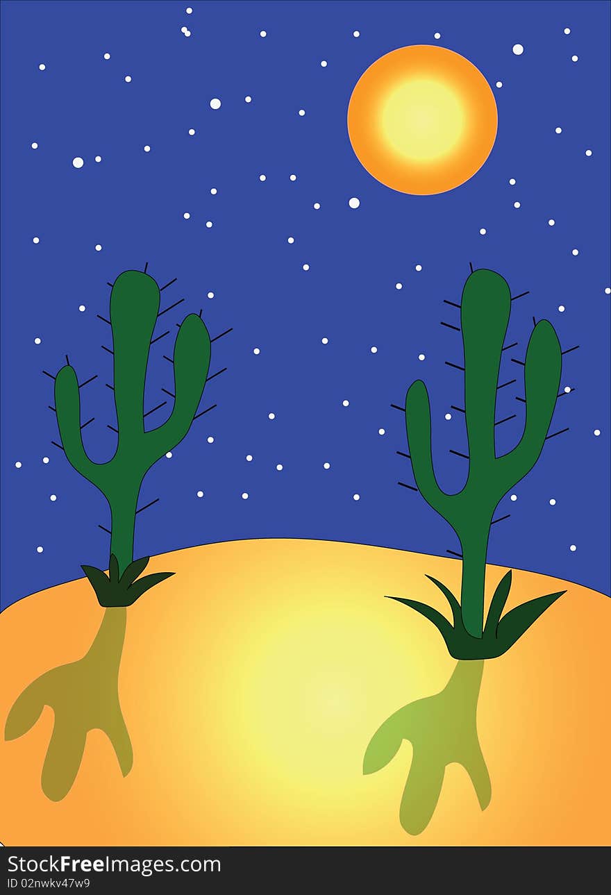 Night in desert